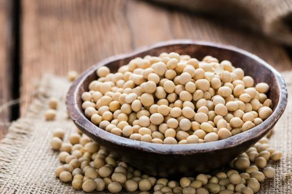 U.S. Soya Bean Price Levels Off at $650 per Ton